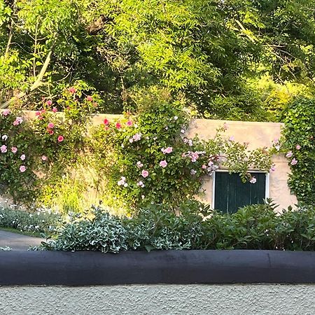 Old Mill House Bed and Breakfast Larne Buitenkant foto
