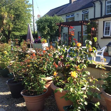 Old Mill House Bed and Breakfast Larne Buitenkant foto