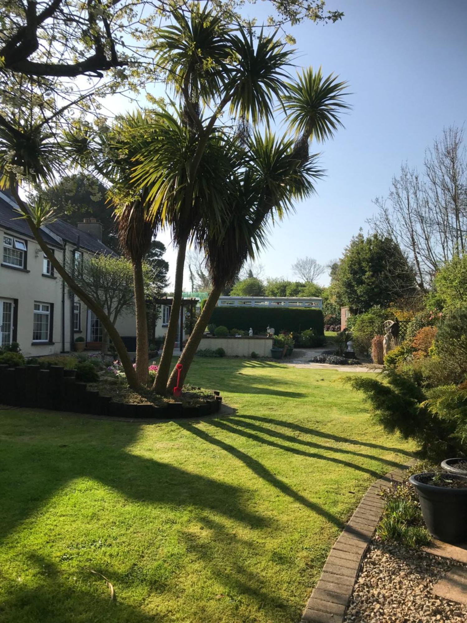 Old Mill House Bed and Breakfast Larne Buitenkant foto