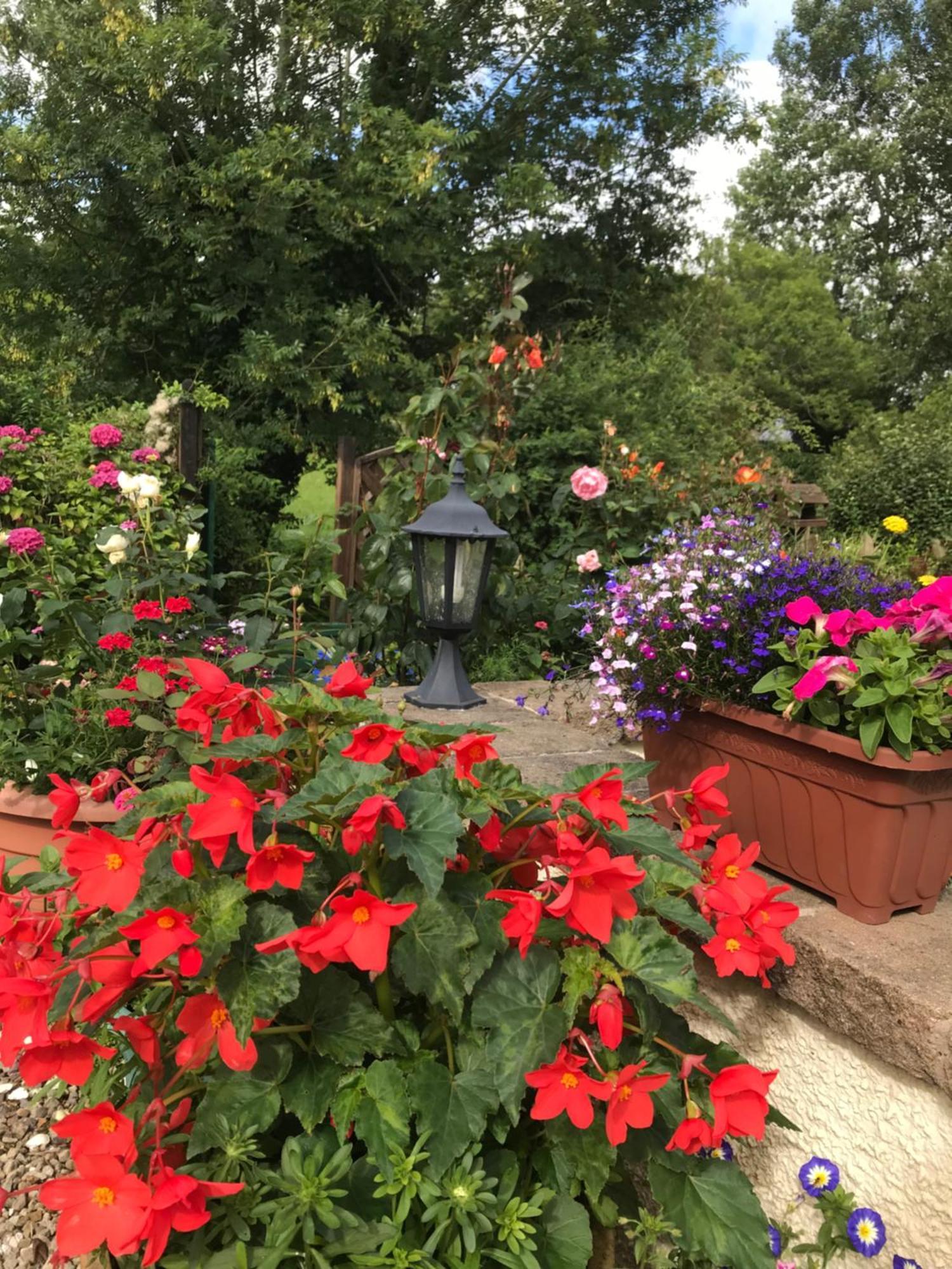 Old Mill House Bed and Breakfast Larne Buitenkant foto