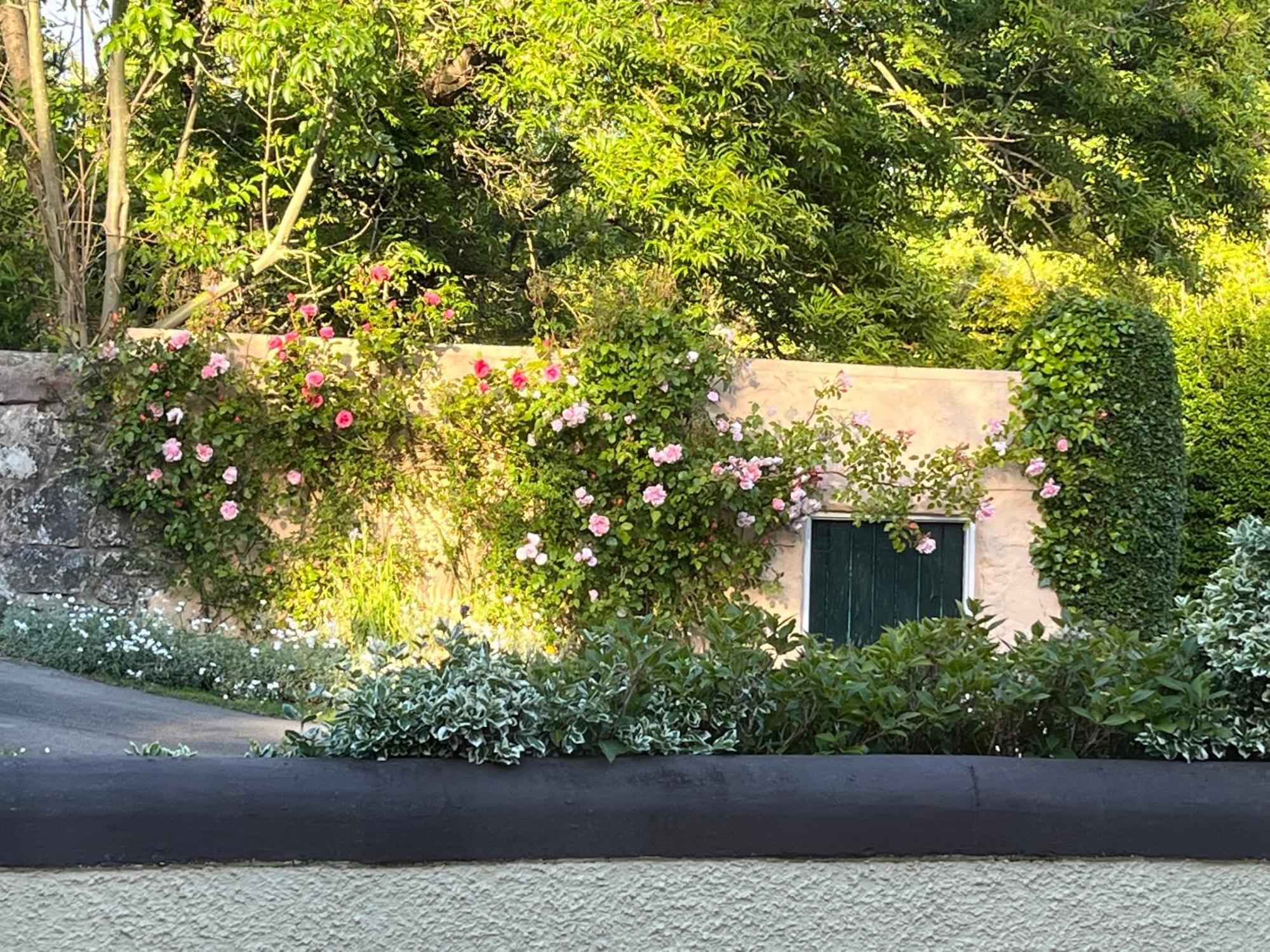 Old Mill House Bed and Breakfast Larne Buitenkant foto