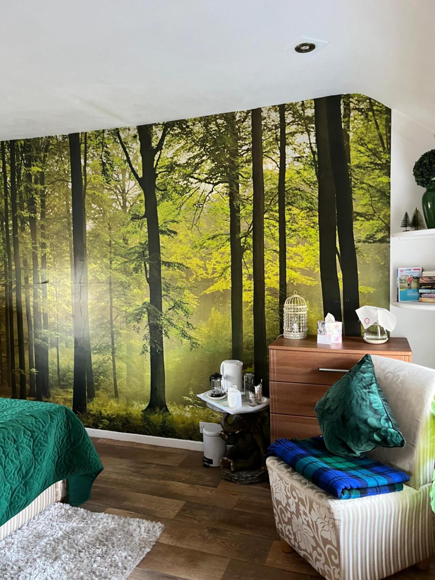 Old Mill House Bed and Breakfast Larne Buitenkant foto