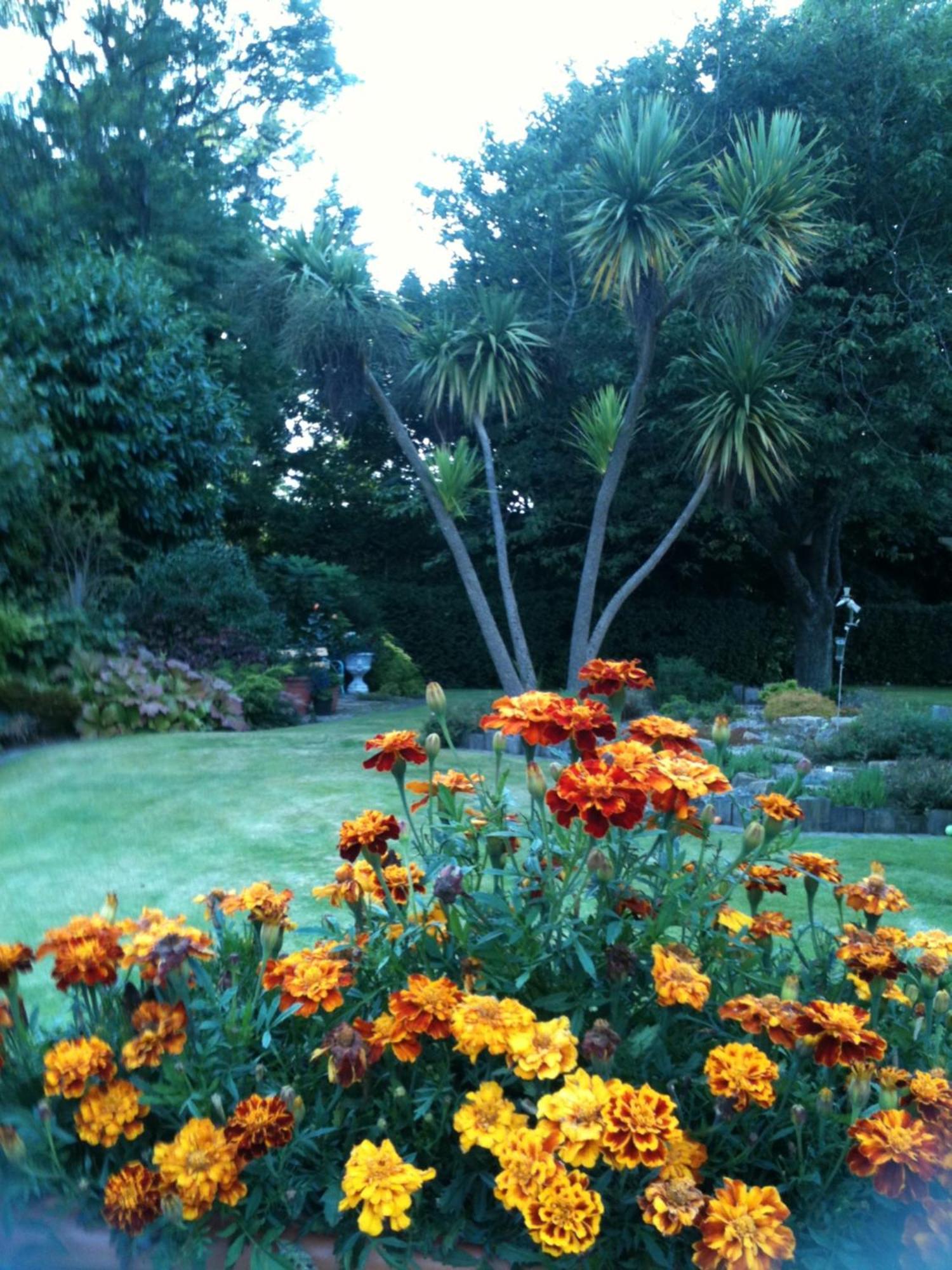 Old Mill House Bed and Breakfast Larne Buitenkant foto