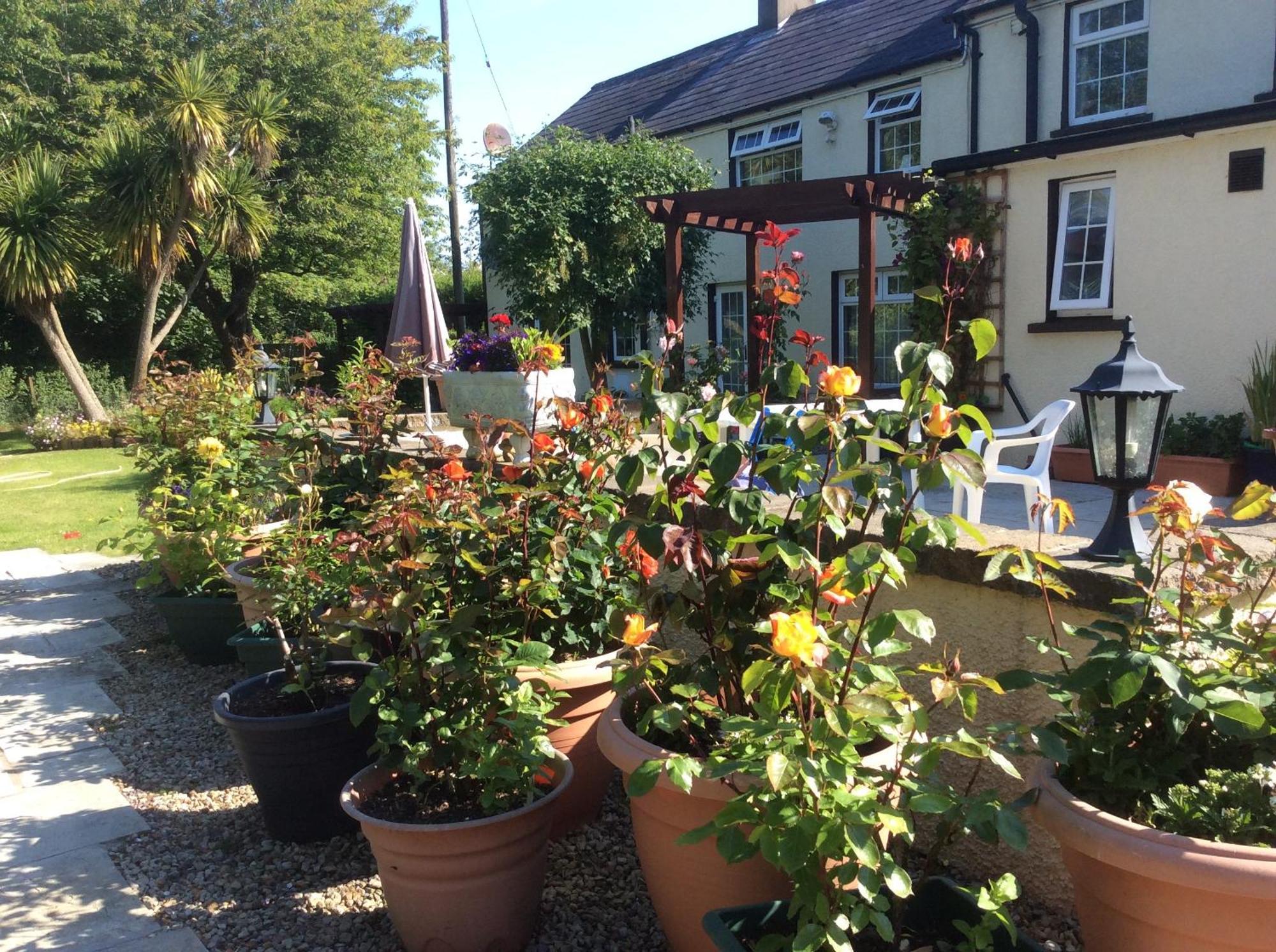 Old Mill House Bed and Breakfast Larne Buitenkant foto